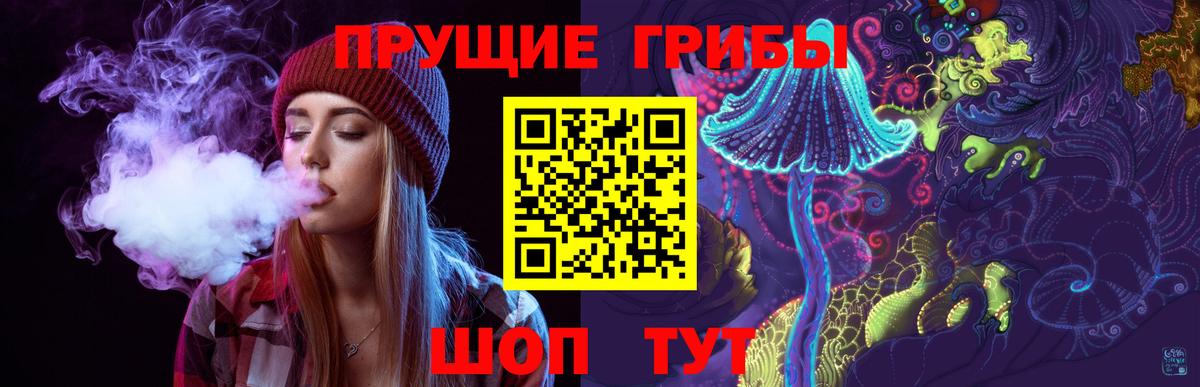 Псилоцибиновые грибы мухоморы Бор
